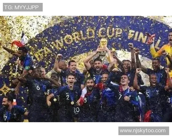 2016年欧洲杯回顾法国队夺冠之路与辉煌表现分析